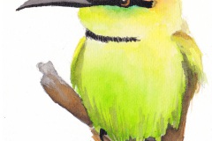 Beeeater_Web