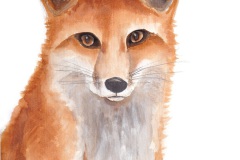 Fuchs_Web