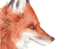 Fuchs_XXL3