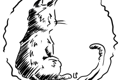 Katze3