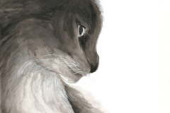 Katze_Web
