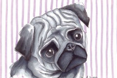 Mops_Web