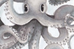 Oktopus_Web