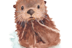 Otter_XXL
