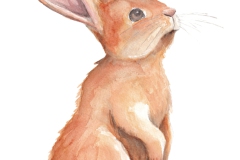 Posterkarte_Hase2