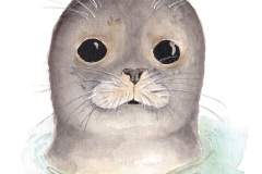 Robbe_PostkarteXL
